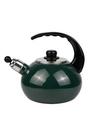 Чайник емальований зі свистком із чорною бакелітовою ручкою Kamille KM-1039D - 2,5 л, зелений