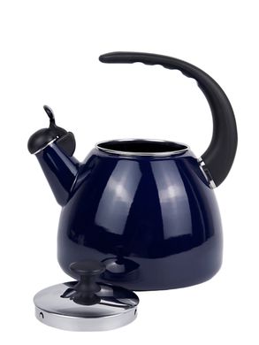 Чайник емальований зі свистком із чорною бакелітовою ручкою Kamille KM-1040D - 2,5 л, темно-синій
