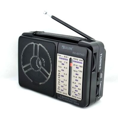 Портативний радіо приймач GOLON RX-606AC від мережі 220В Чорний