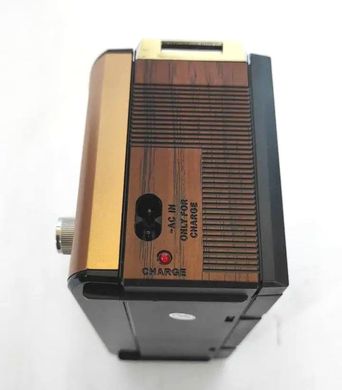 Радиоприемник с Bluetooth USB GOLON RX-BT087 Ретро