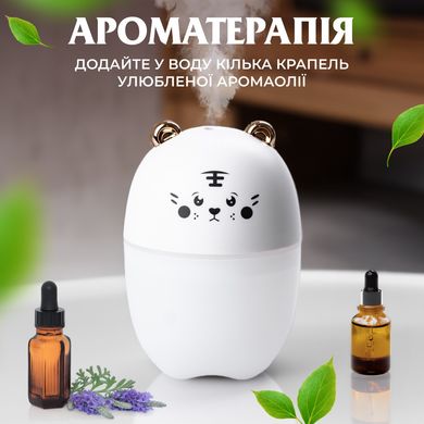 Зволожувач повітря Bear USB Humidifier 220ml міні зволожувач повітря