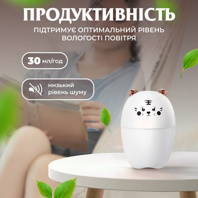 Зволожувач повітря Bear USB Humidifier 220ml міні зволожувач повітря