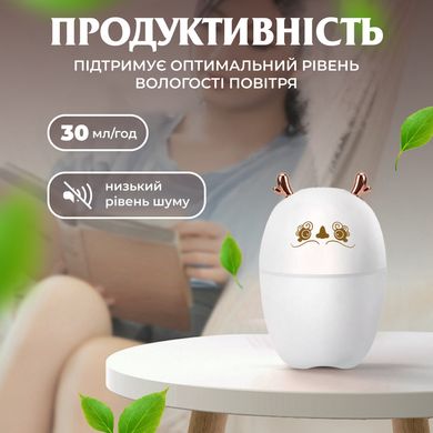 Зволожувач повітря Deer USB Humidifier 220ml міні зволожувач повітря