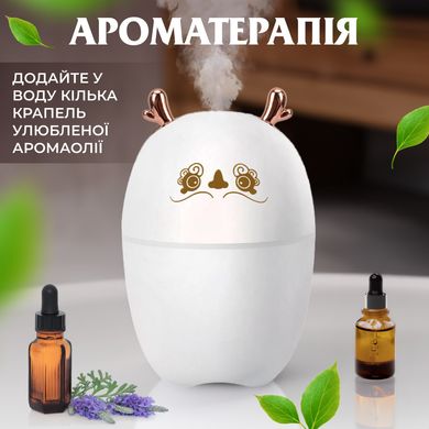 Увлажнитель воздуха Deer USB Humidifier 220ml мини увлажнитель воздуха