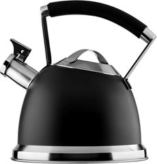 Чайник для плиты Ardesto Black Mars (AR0747KS) - 2.5 л, Черный