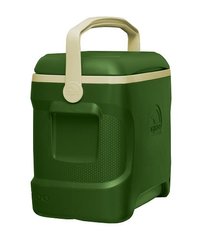 Изотермический контейнер Igloo Sportsman 30, 28 л, зеленый