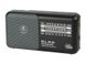 Радіоприймач портативний BLOW RA4 Radio Portable Analog AM/FM Black (53069)
