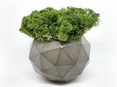 Современная ваза со стабилизированным мхом Marry Arti Type МОЗ — 9,5х7см, темно-серый