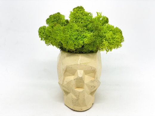 Сучасна ваза зі стабілізованим мохом Marry Arti SKULL З - 8х5x6, 5см, жовтий