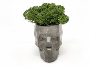 Сучасна ваза зі стабілізованим мохом Marry Arti SKULL З - 8х5x6, 5см, темно-сірий