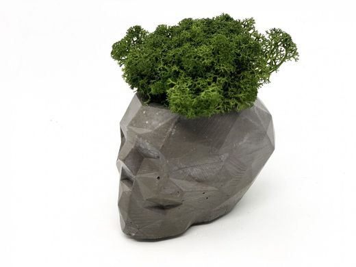 Современная ваза со стабилизированным мхом Marry Arti SKULL З — 8х5x6,5см, темно-серый