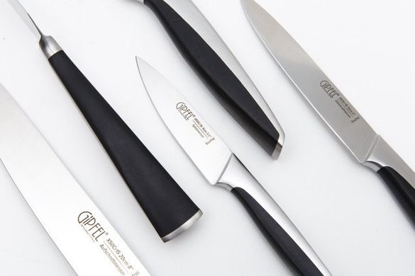 Набір ножів на дерев'яній підставці GIPFEL FUTURA 6688 - 6 предметів