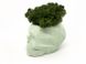 Сучасна ваза зі стабілізованим мохом Marry Arti SKULL З - 8х5x6, 5см, м'ятний