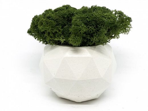Сучасна ваза зі стабілізованим мохом Marry Arti Type МОЗ - 9,5х7см, білий