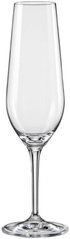 Набір бокалів для шампанського Bohemia Amoroso 40651/200/2 - (200 мл, 2 шт)