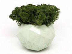 Современная ваза со стабилизированным мхом Marry Arti Type МОЗ — 9,5х7см, мята