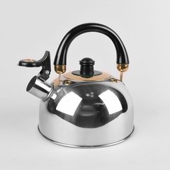 Чайник зі свистком (нержавіюча сталь) RAINBOW Maestro MR1301-ч (3,5 л), чорний