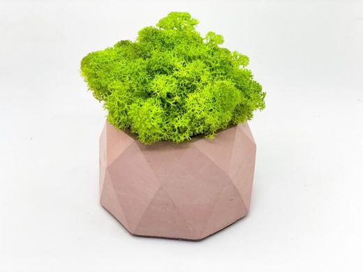 Сучасна ваза зі стабілізованим мохом Marry Arti Type LC - 10,5х6,5см, рожевий