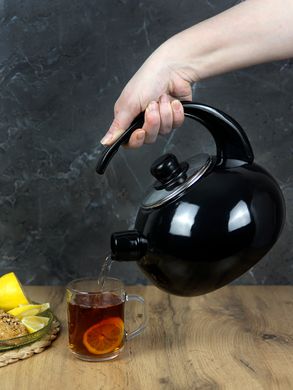 Чайник емальований зі свистком із чорною бакелітовою ручкою Kamille KM-1039A - 2,5 л, чорний