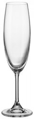 Набір келихів для шампанського Bohemia Klara 4S415\00000\220 - 220 мл, 6 штук